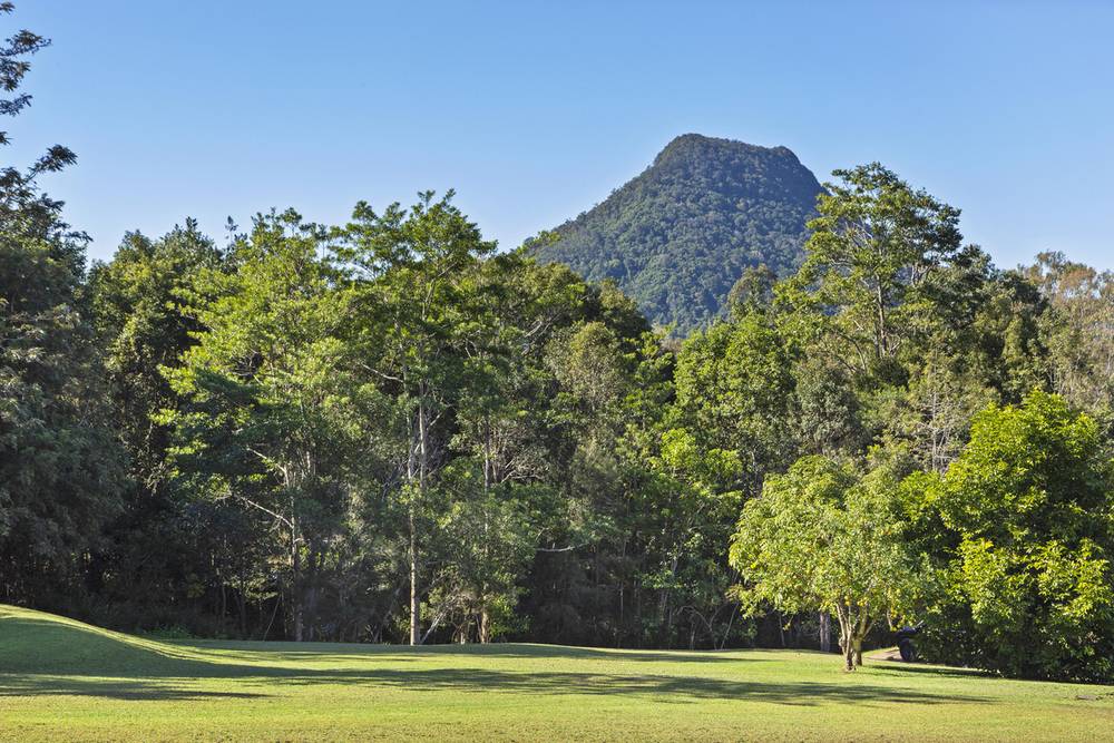79 Musavale Road, Eerwah Vale, QLD 4562