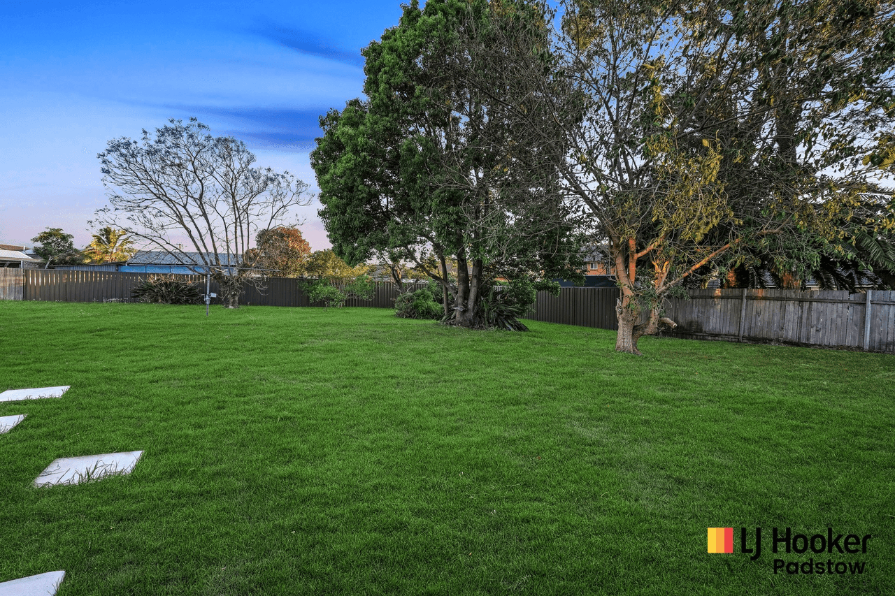 24 Walder Road, HAMMONDVILLE, NSW 2170