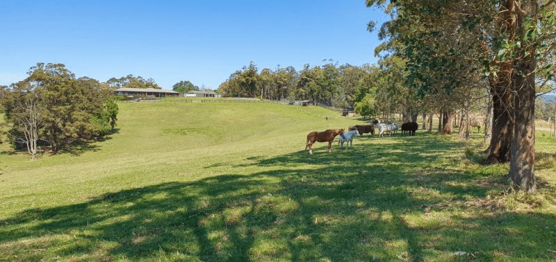 57 Hubbards Road North, WOOTTON, NSW 2423