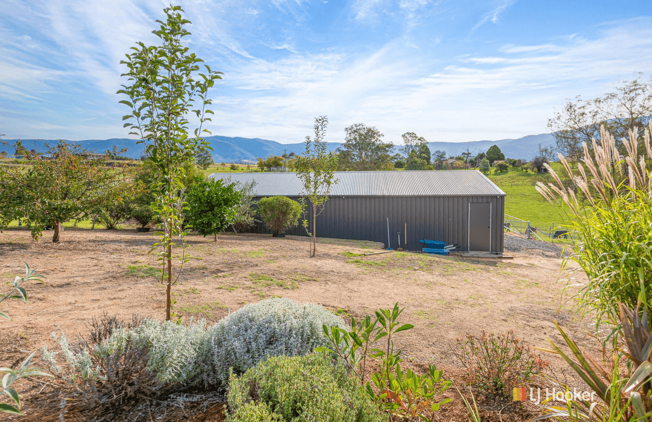 55 Robertson Street, BEMBOKA, NSW 2550