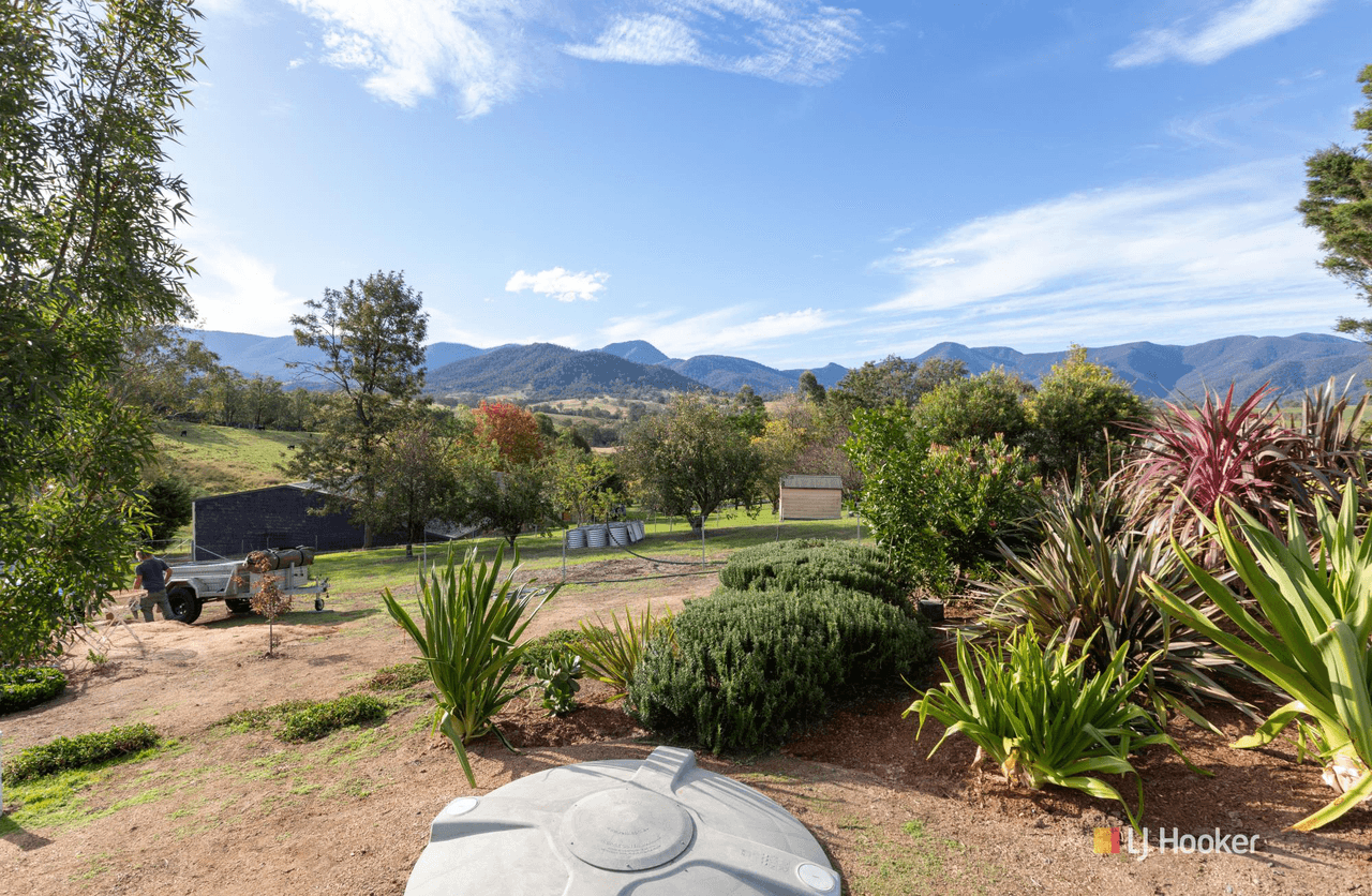 55 Robertson Street, BEMBOKA, NSW 2550