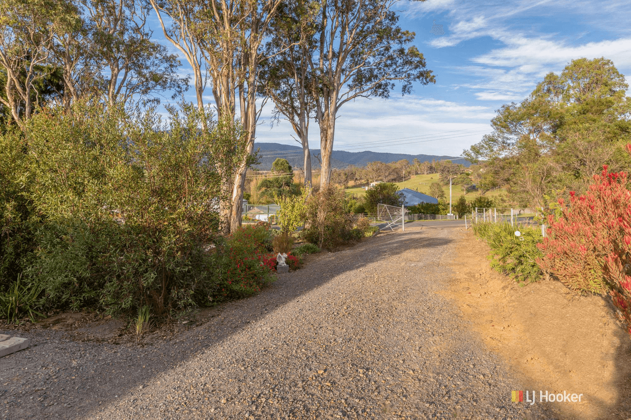 55 Robertson Street, BEMBOKA, NSW 2550