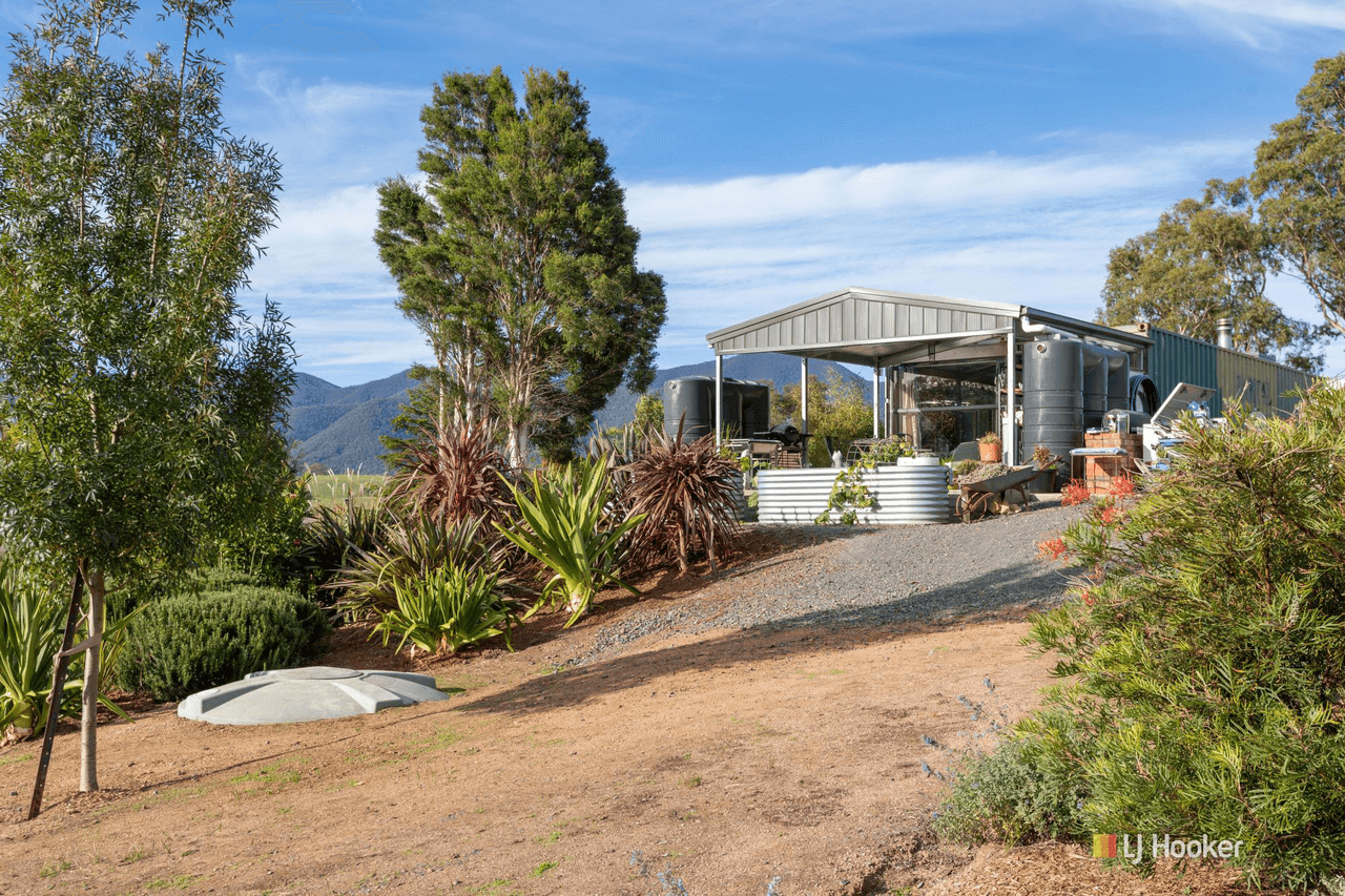 55 Robertson Street, BEMBOKA, NSW 2550