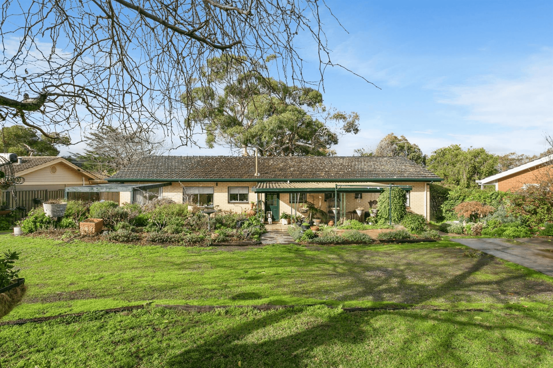 20 Diosma Drive, Coromandel Valley, SA 5051