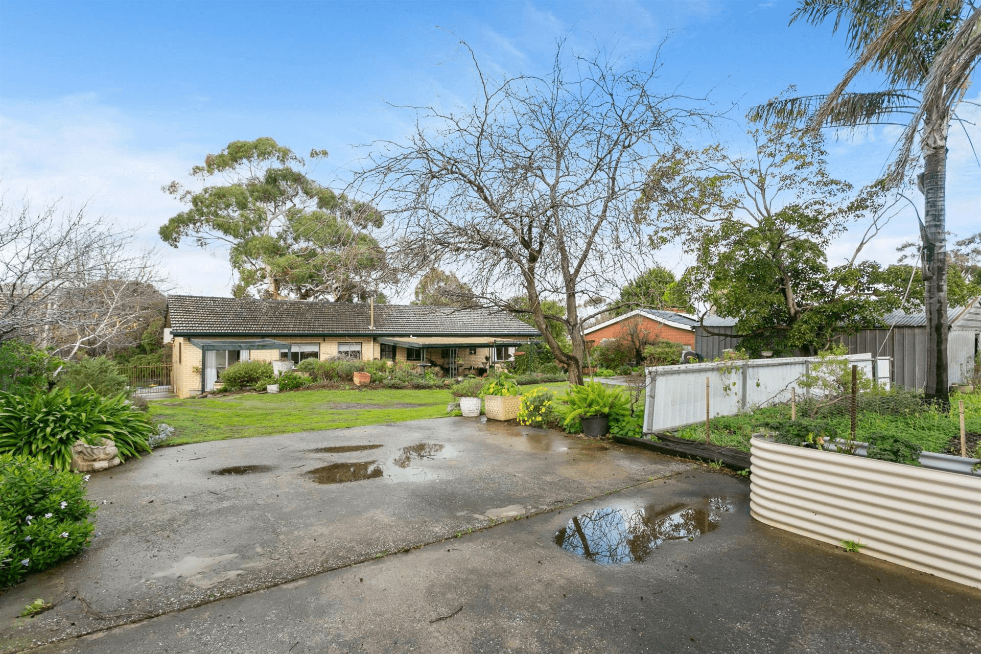 20 Diosma Drive, Coromandel Valley, SA 5051