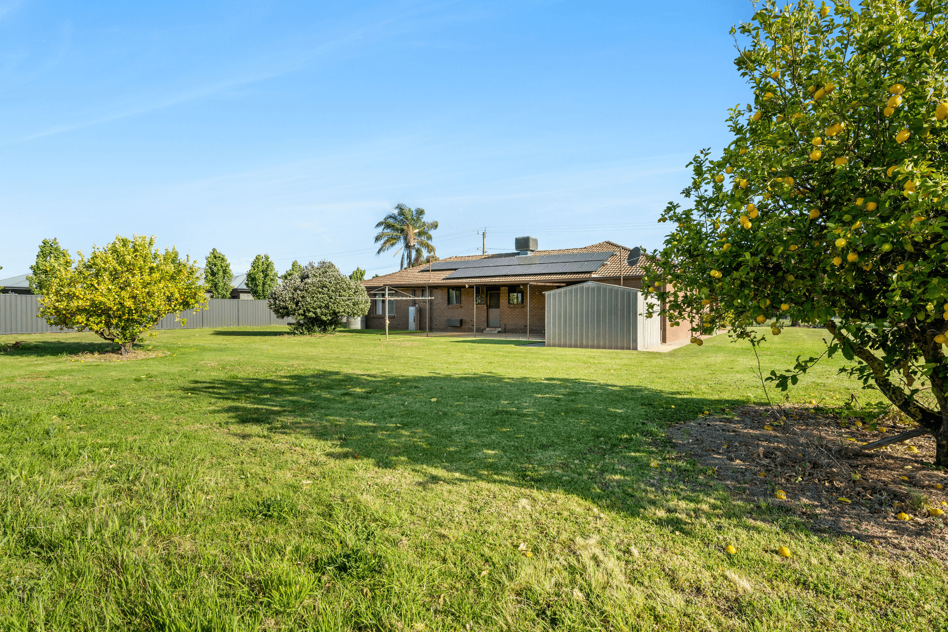 142 Cadell Street, Corowa, NSW 2646