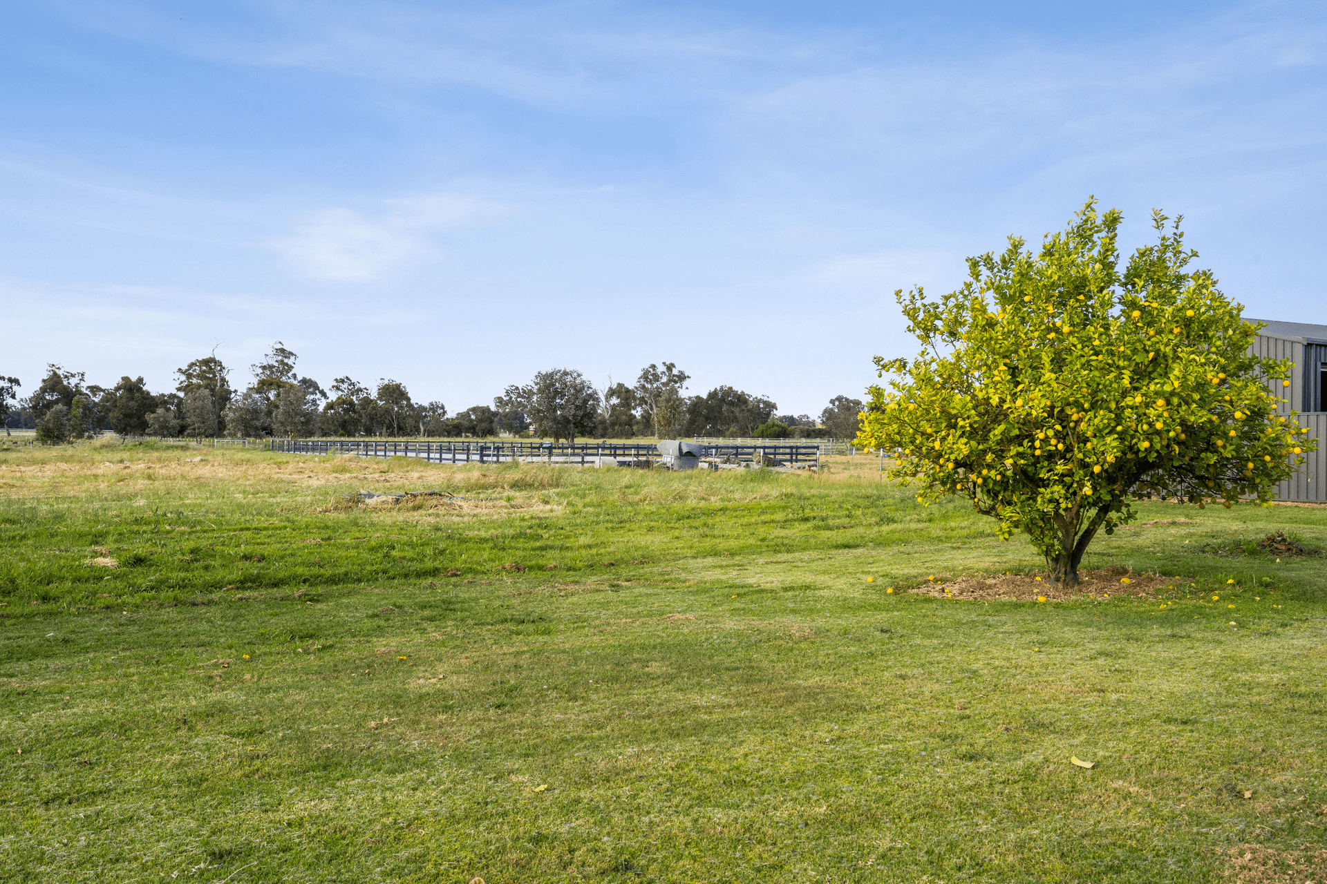 142 Cadell Street, Corowa, NSW 2646