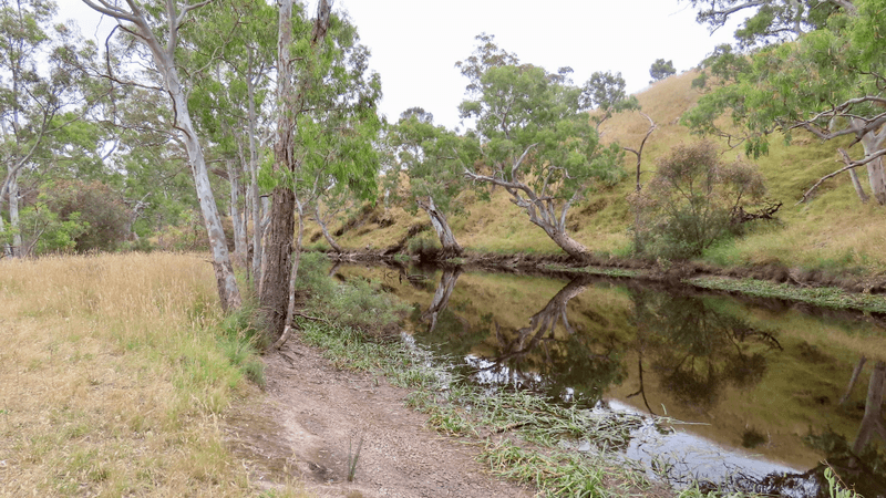 596 Mostyn Lane, Balmoral, VIC 3407