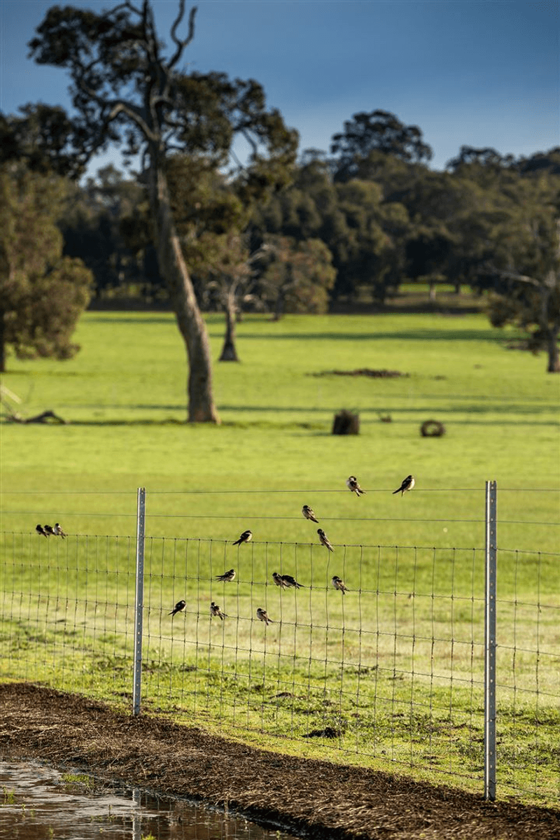 Lot 719 Zebu Road, Lower Chittering, WA 6084