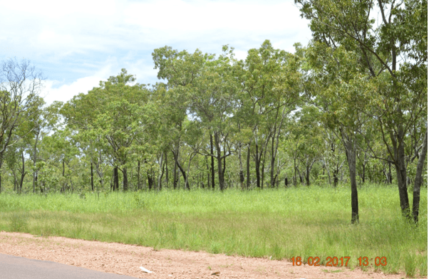 135 Daly River Rd, ADELAIDE RIVER, NT 0846
