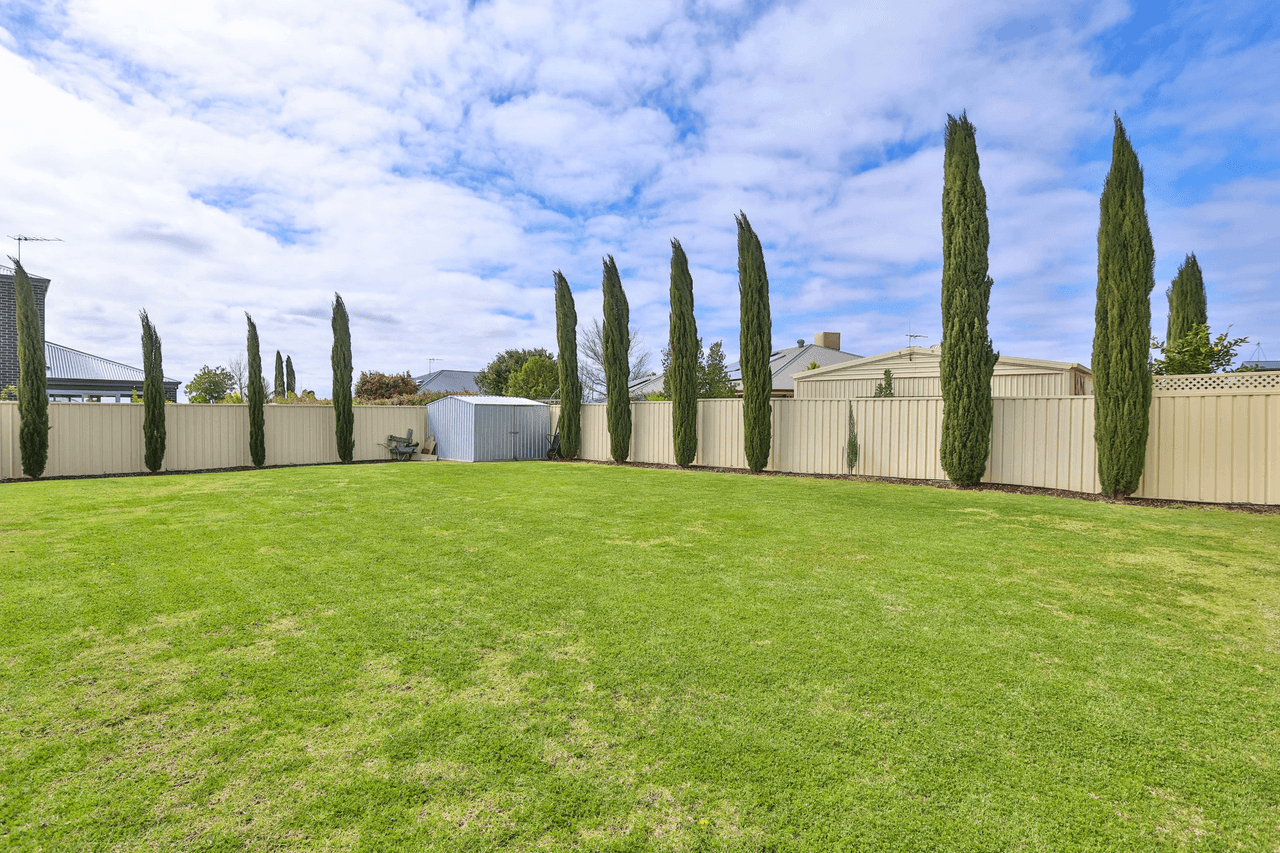 484 Riverside Avenue, Mildura, VIC 3500