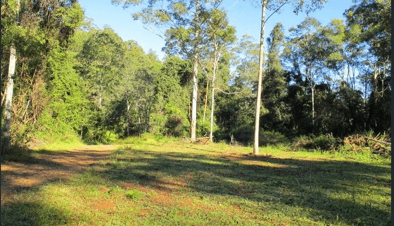 Lot 95 Kennaicle Road, MISSABOTTI, NSW 2449