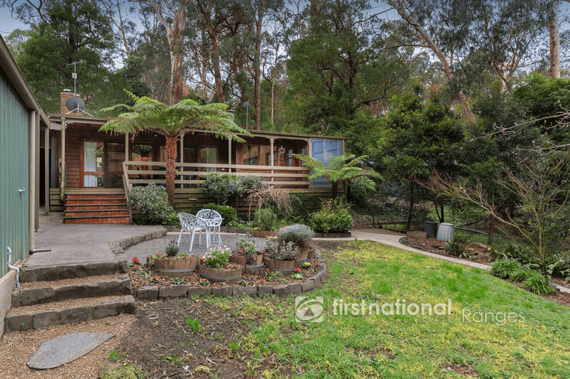 14 Laurie Avenue, TECOMA, VIC 3160