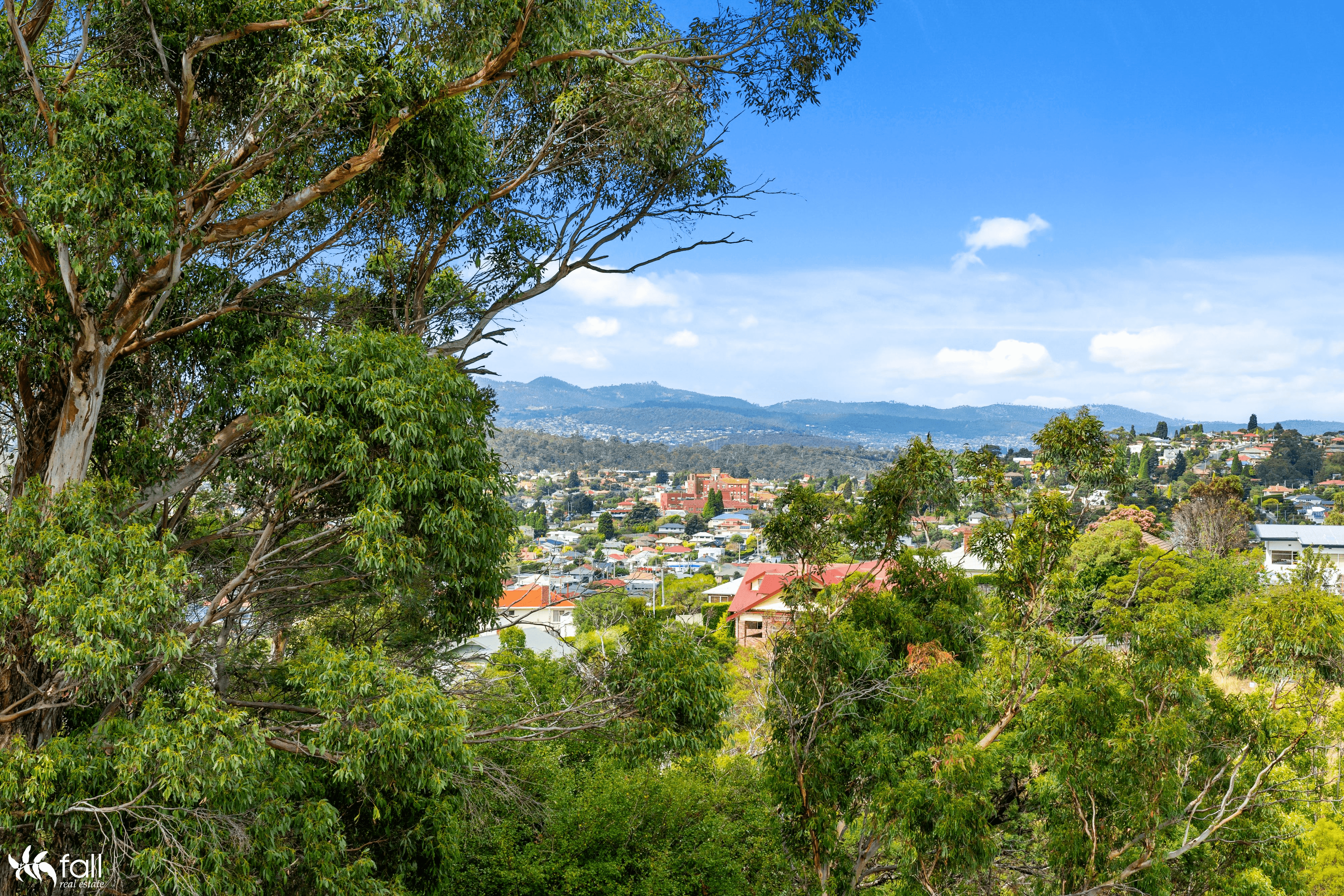 48 Athleen Avenue, LENAH VALLEY, TAS 7008