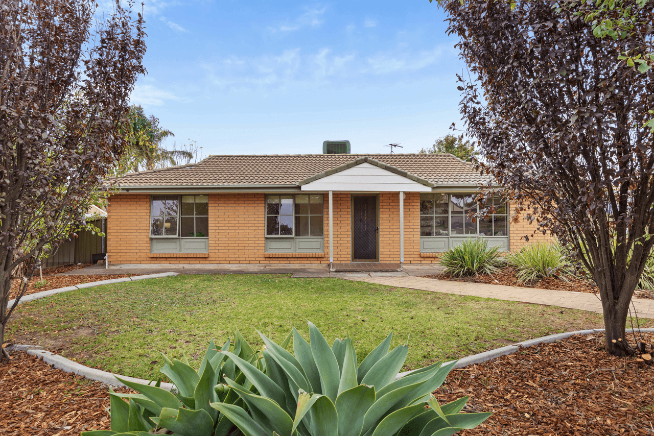 64 Emmerson Drive, MORPHETT VALE, SA 5162