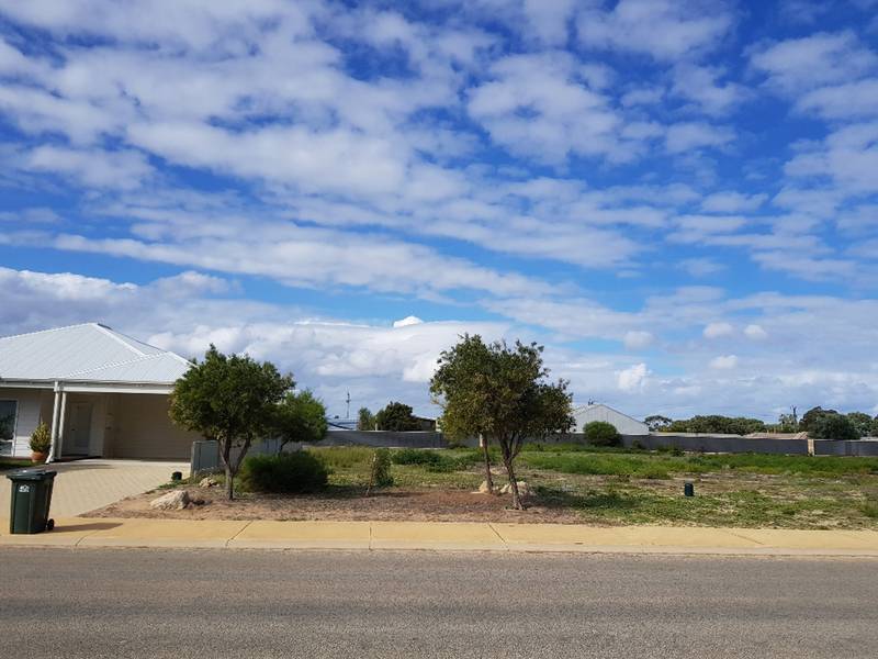 704 THOMAS Street, Leeman, WA 6514