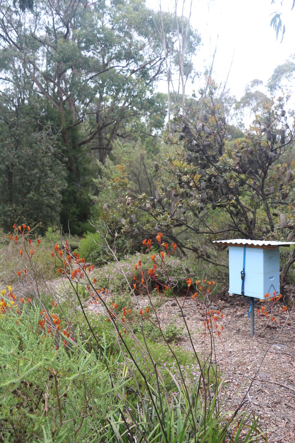 65 Gardiners Road, BARONGAROOK, VIC 3249