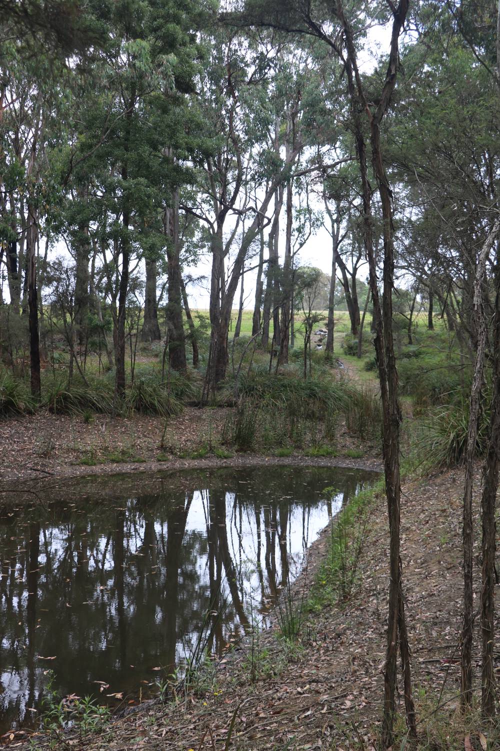 65 Gardiners Road, BARONGAROOK, VIC 3249