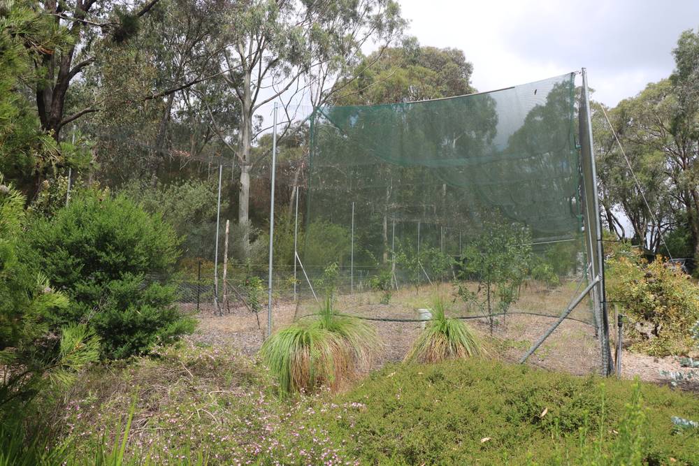 65 Gardiners Road, BARONGAROOK, VIC 3249