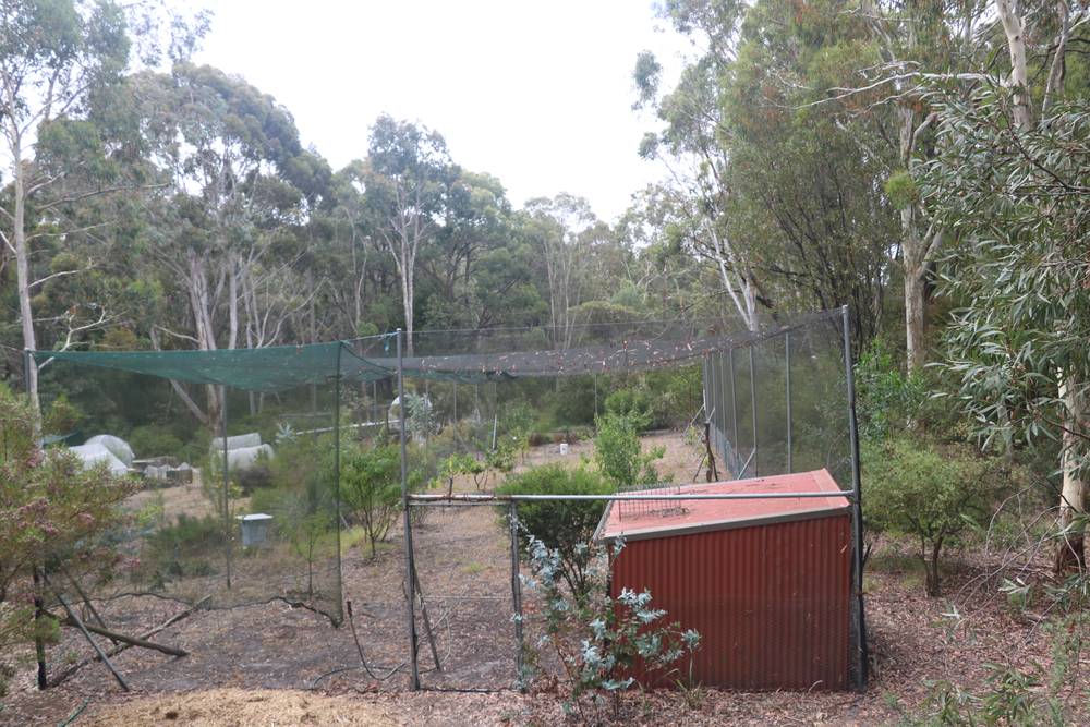65 Gardiners Road, BARONGAROOK, VIC 3249