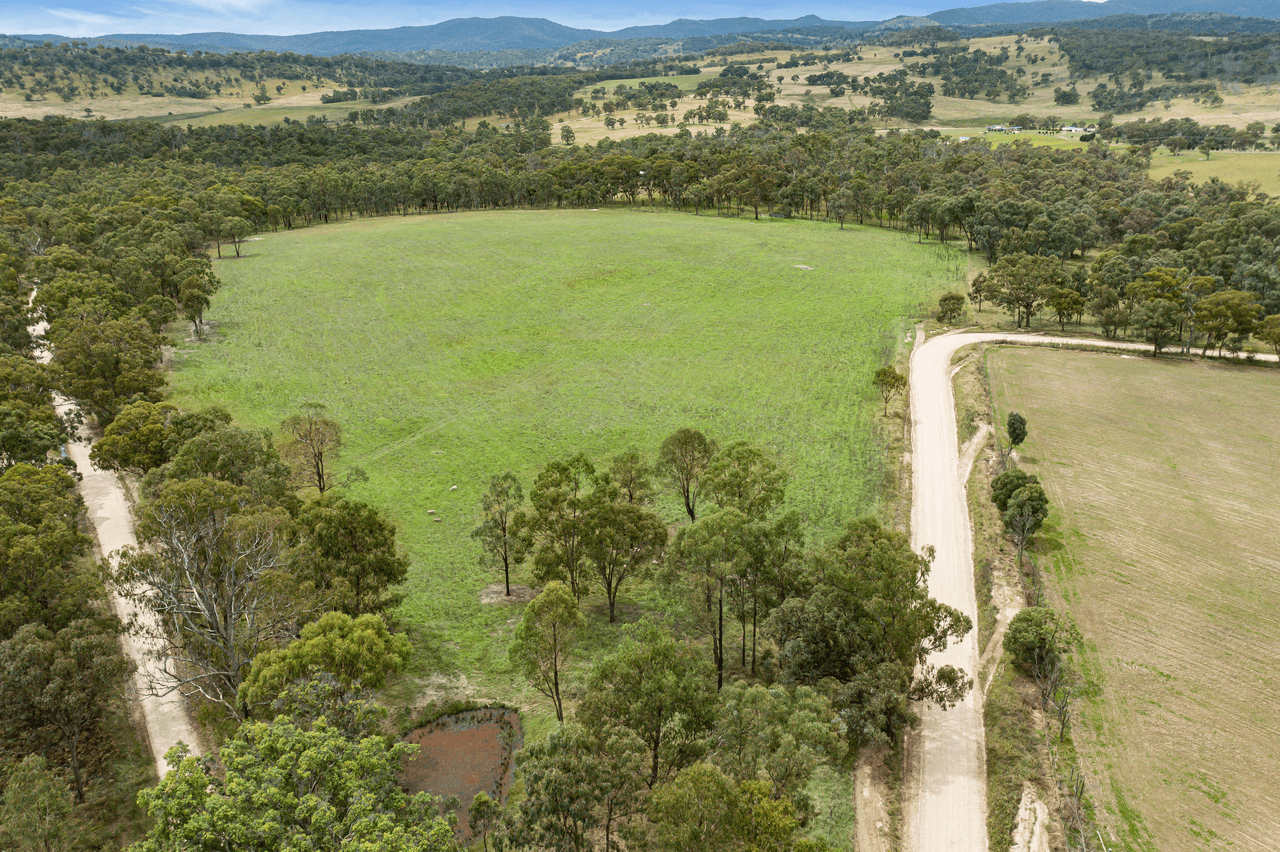 54 Bald Rock Road, TENTERFIELD, NSW 2372