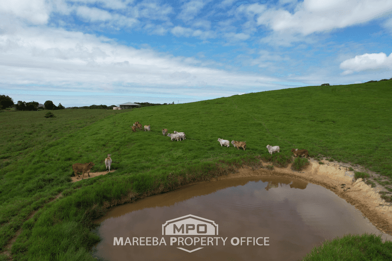 220 Clacherty Road, JULATTEN, QLD 4871