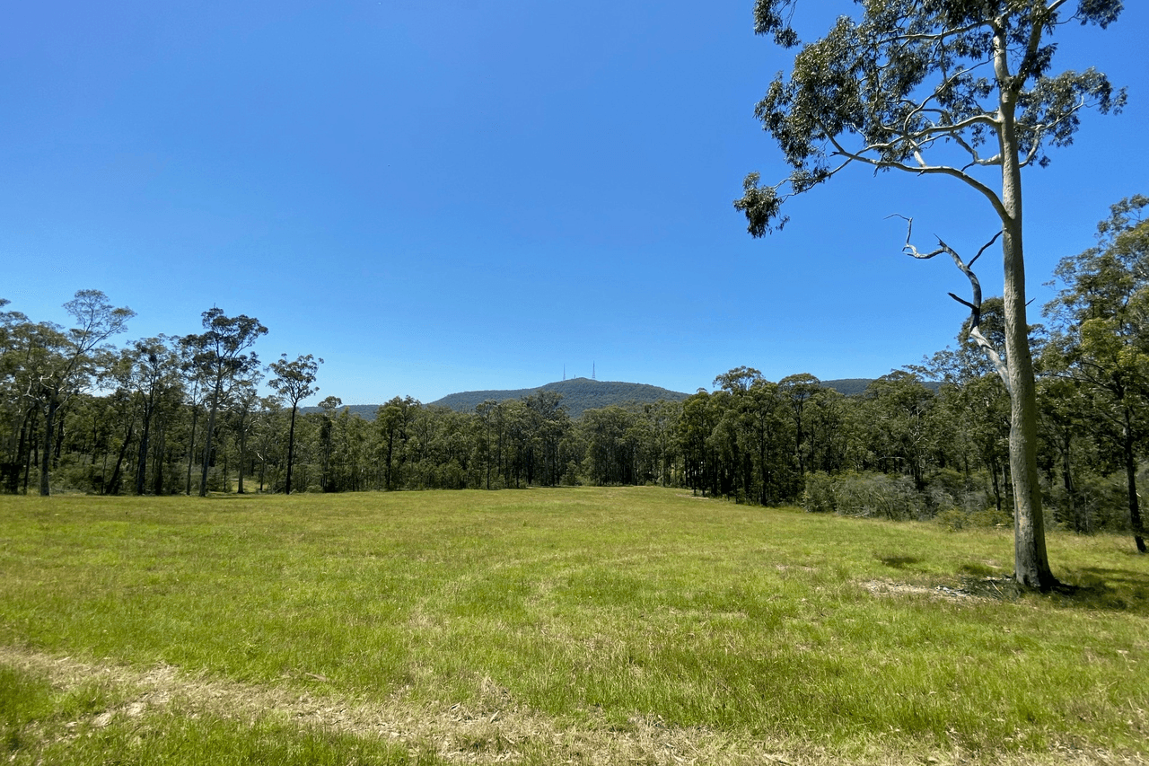 390 Sheppeard Drive, MULBRING, NSW 2323