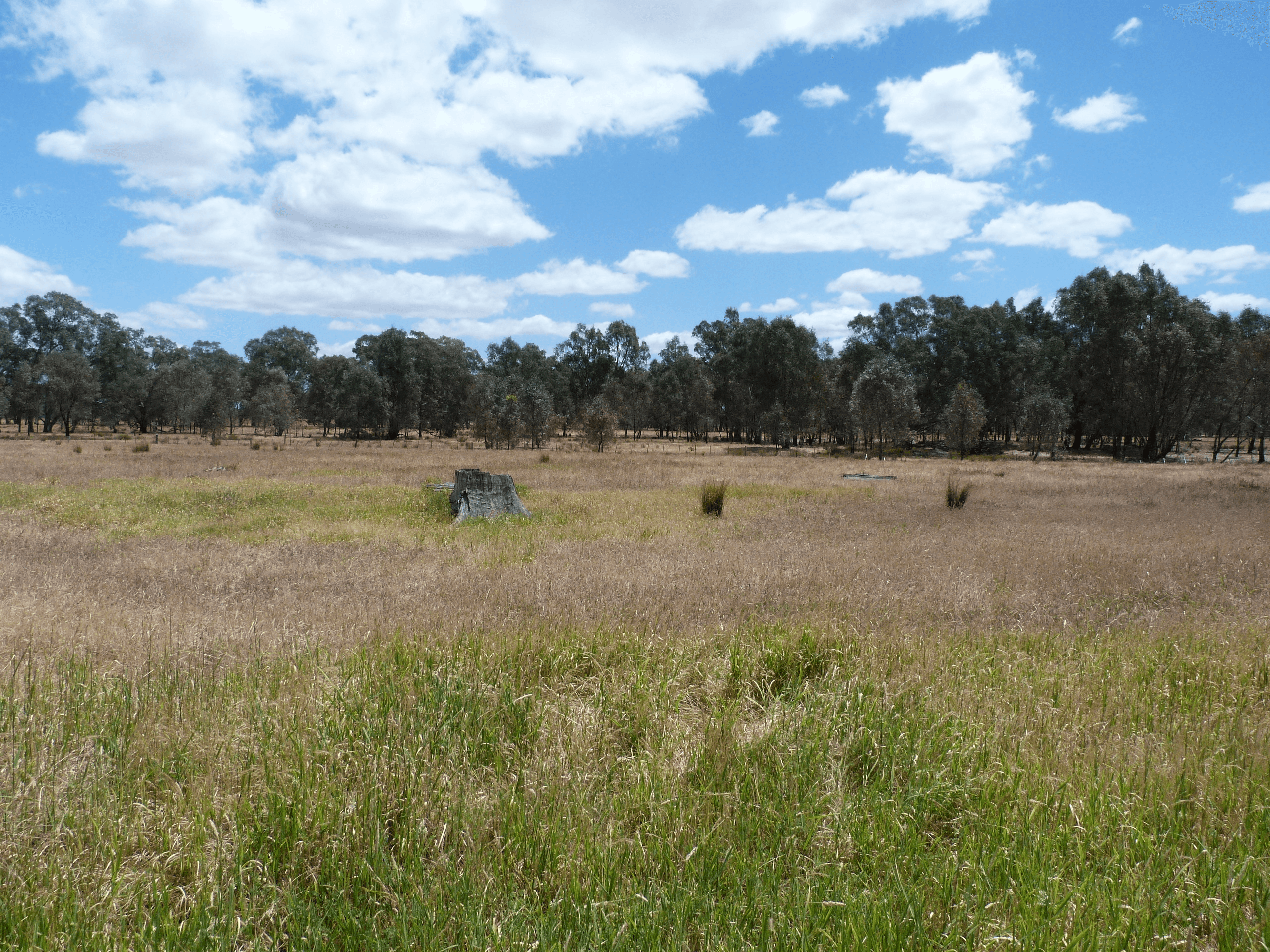 32 Steves Lane, Benalla, VIC 3672