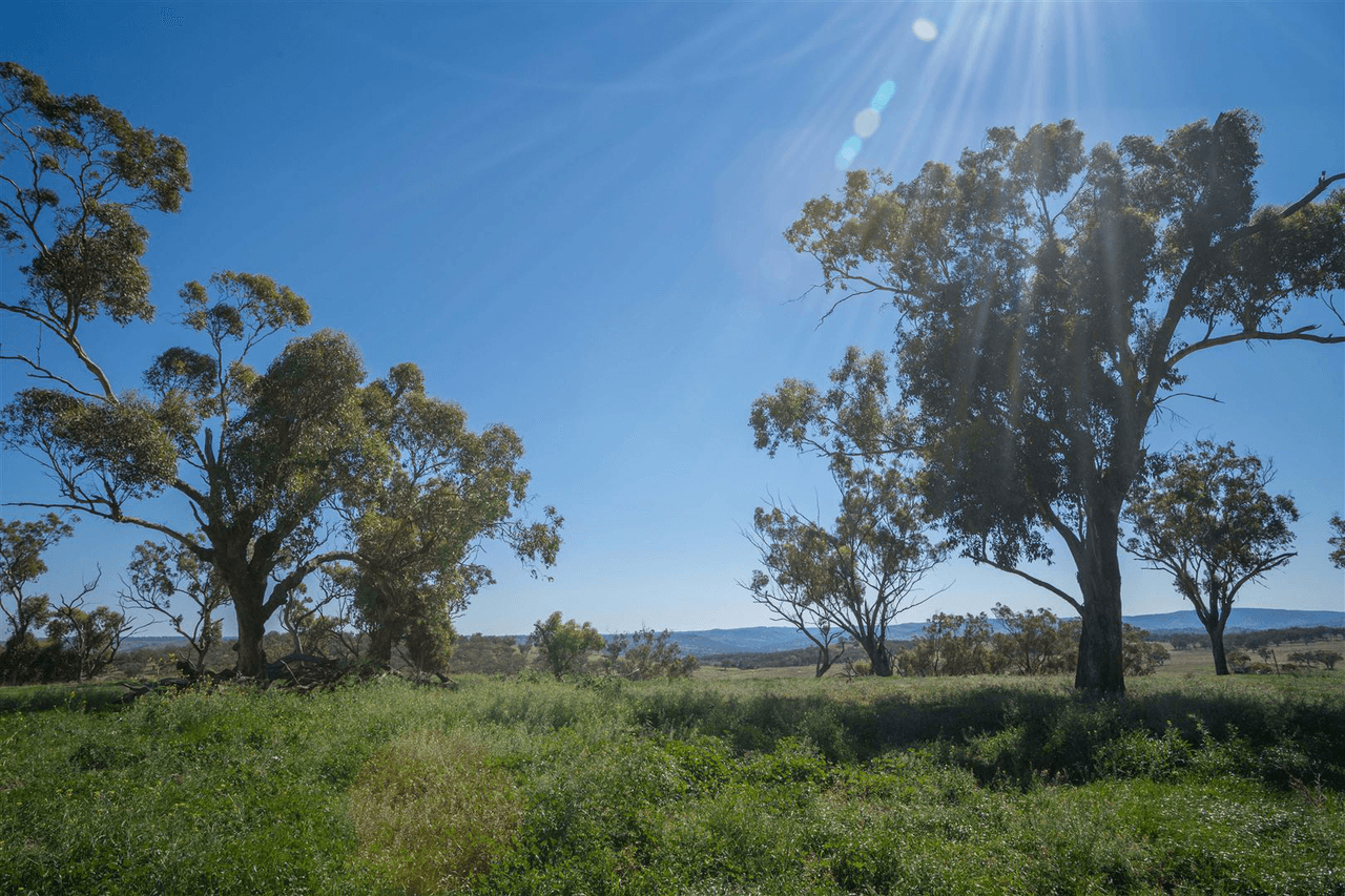 'South Hill' Racecourse Road, CASSILIS, NSW 2329