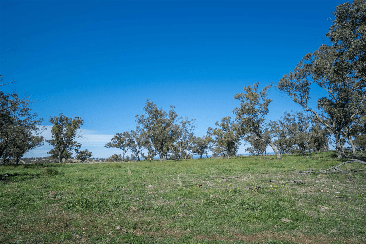 'South Hill' Racecourse Road, CASSILIS, NSW 2329