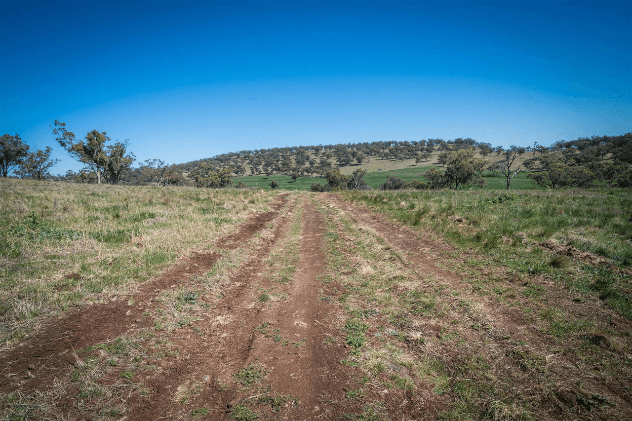 'South Hill' Racecourse Road, CASSILIS, NSW 2329