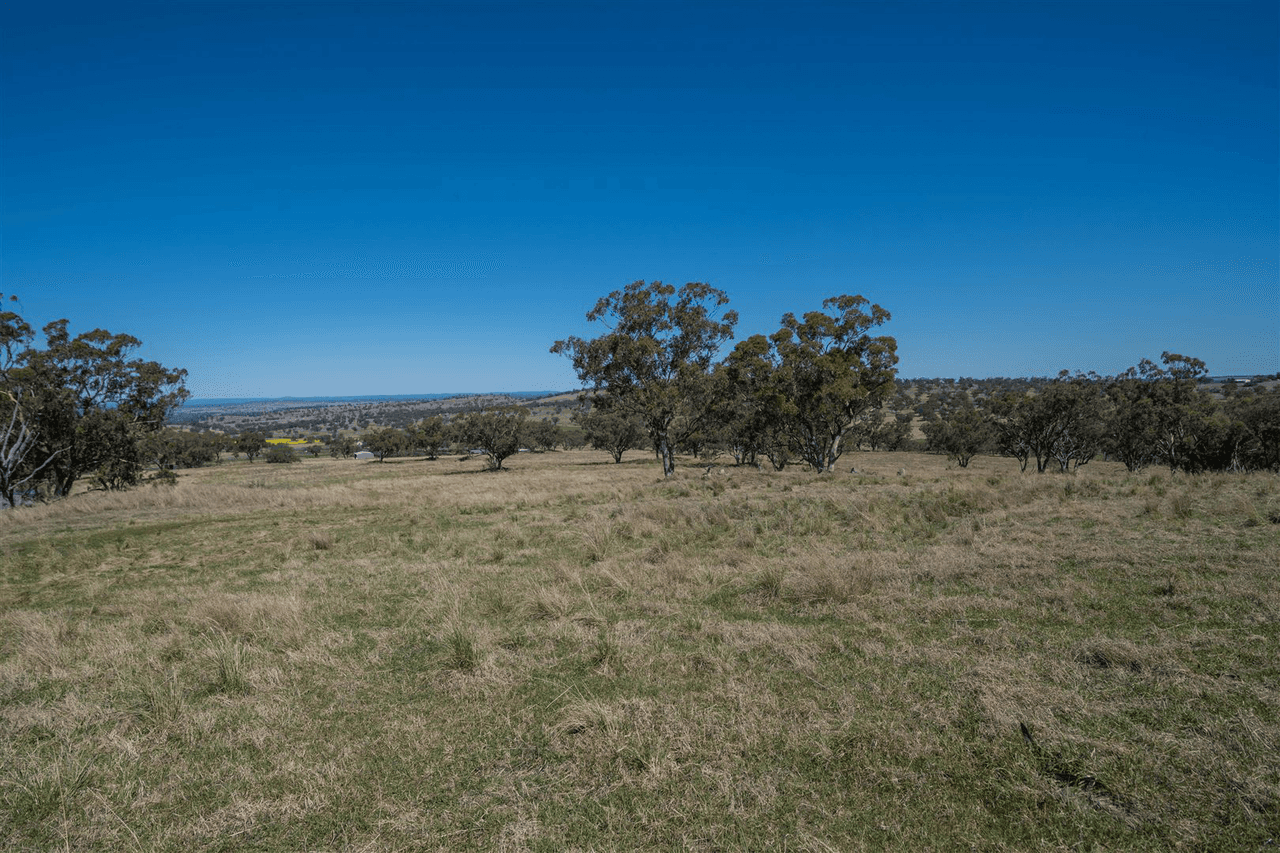 'South Hill' Racecourse Road, CASSILIS, NSW 2329