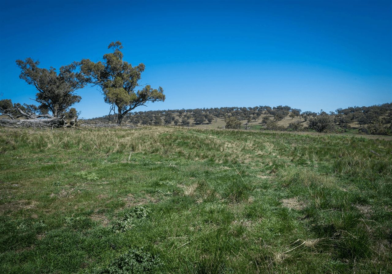 'South Hill' Racecourse Road, CASSILIS, NSW 2329