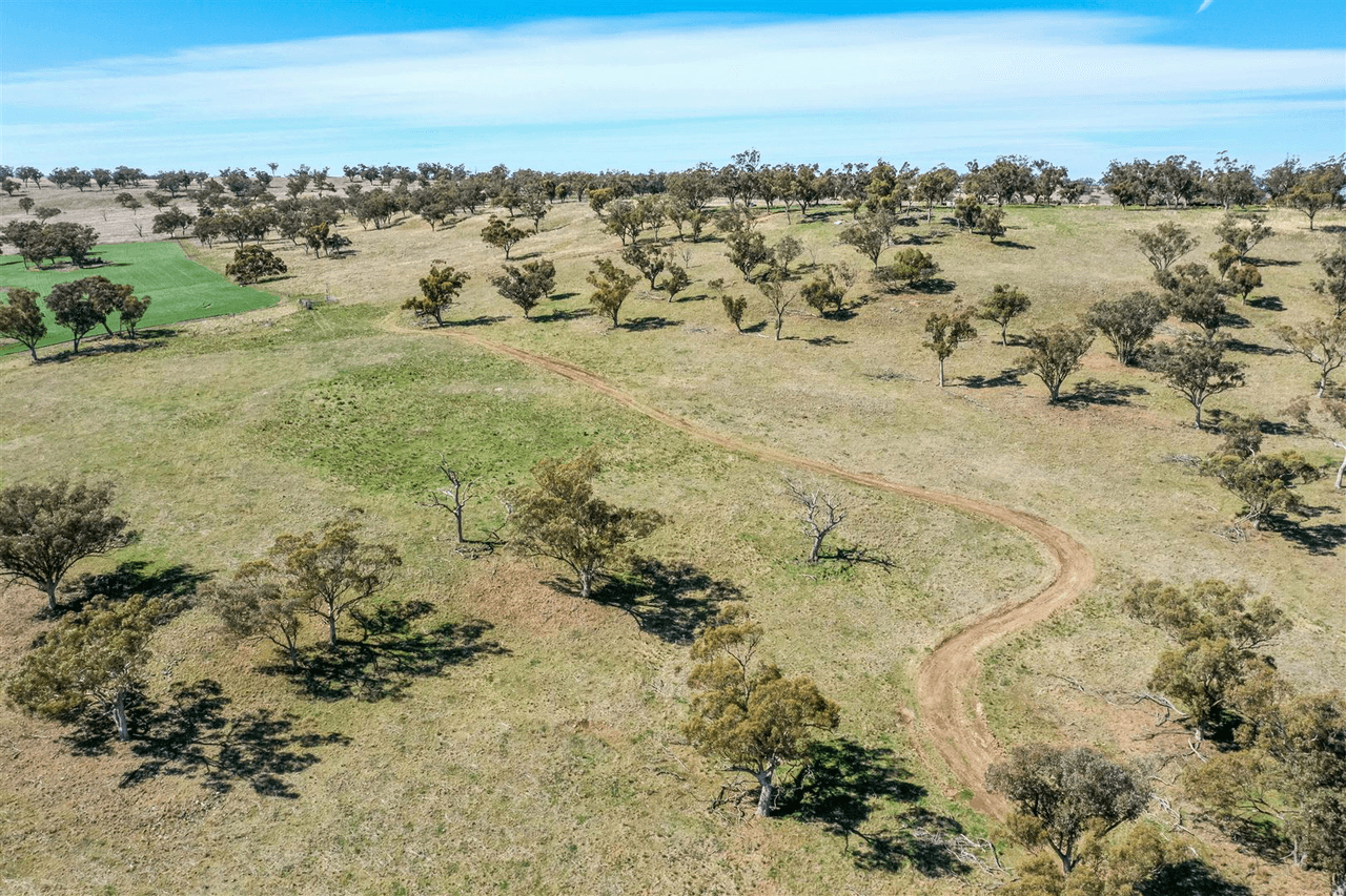 'South Hill' Racecourse Road, CASSILIS, NSW 2329