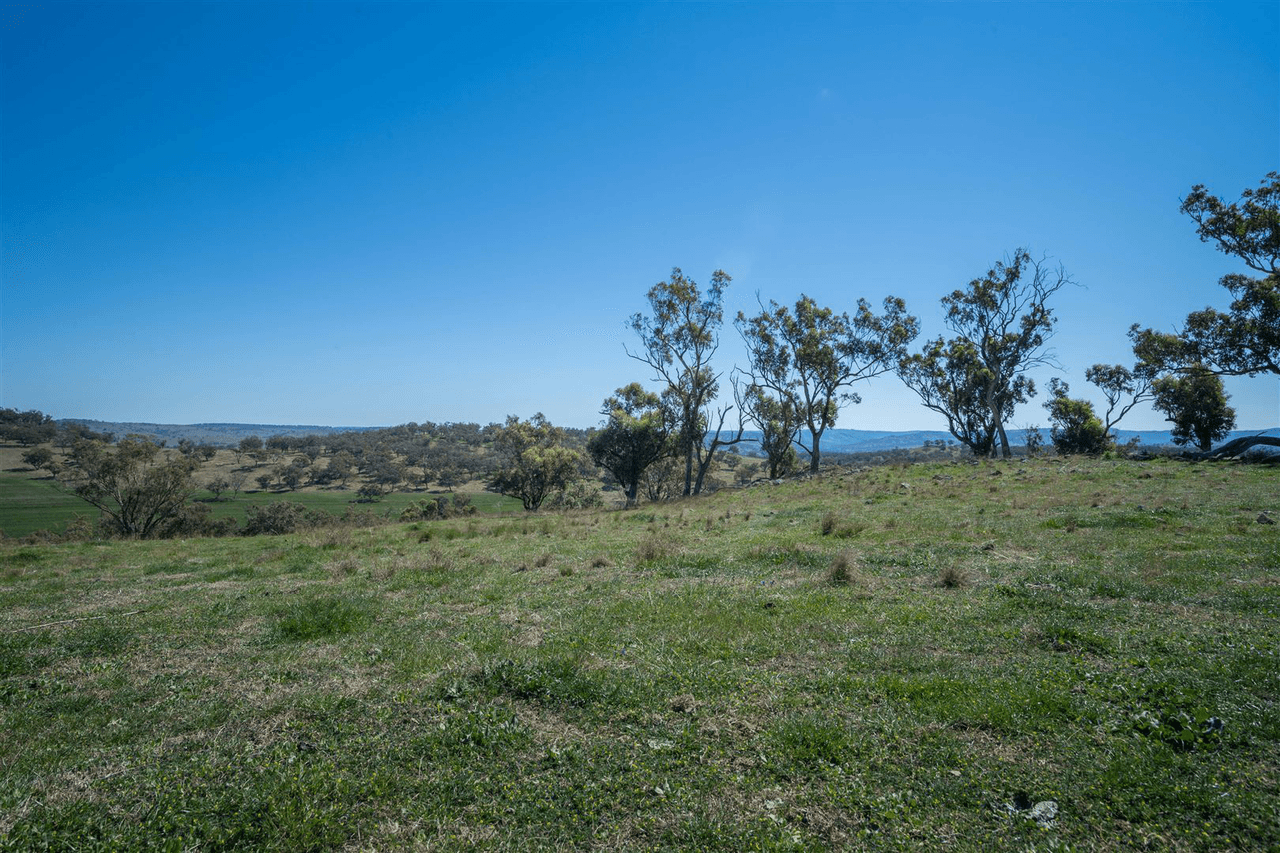 'South Hill' Racecourse Road, CASSILIS, NSW 2329