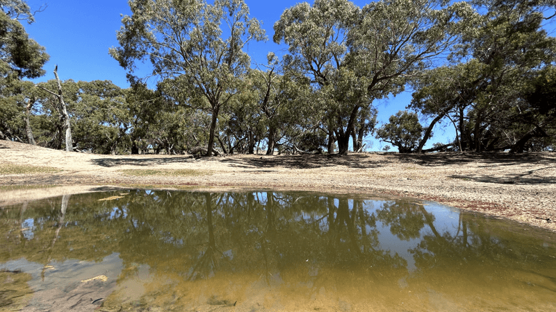 Sections 201 & 202 Johnson Rd, Naracoorte, SA 5271