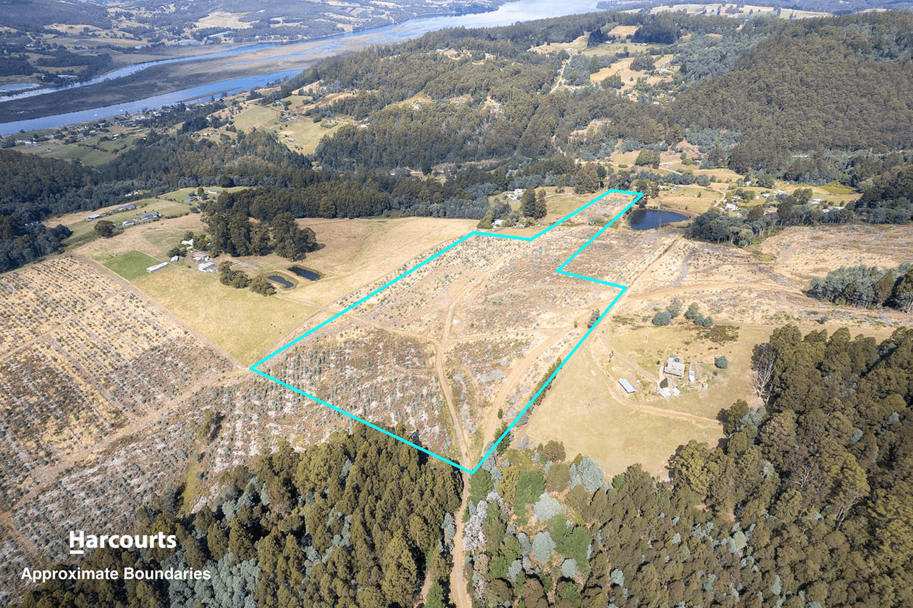 Lot 7 Paddys Lane, FRANKLIN, TAS 7113