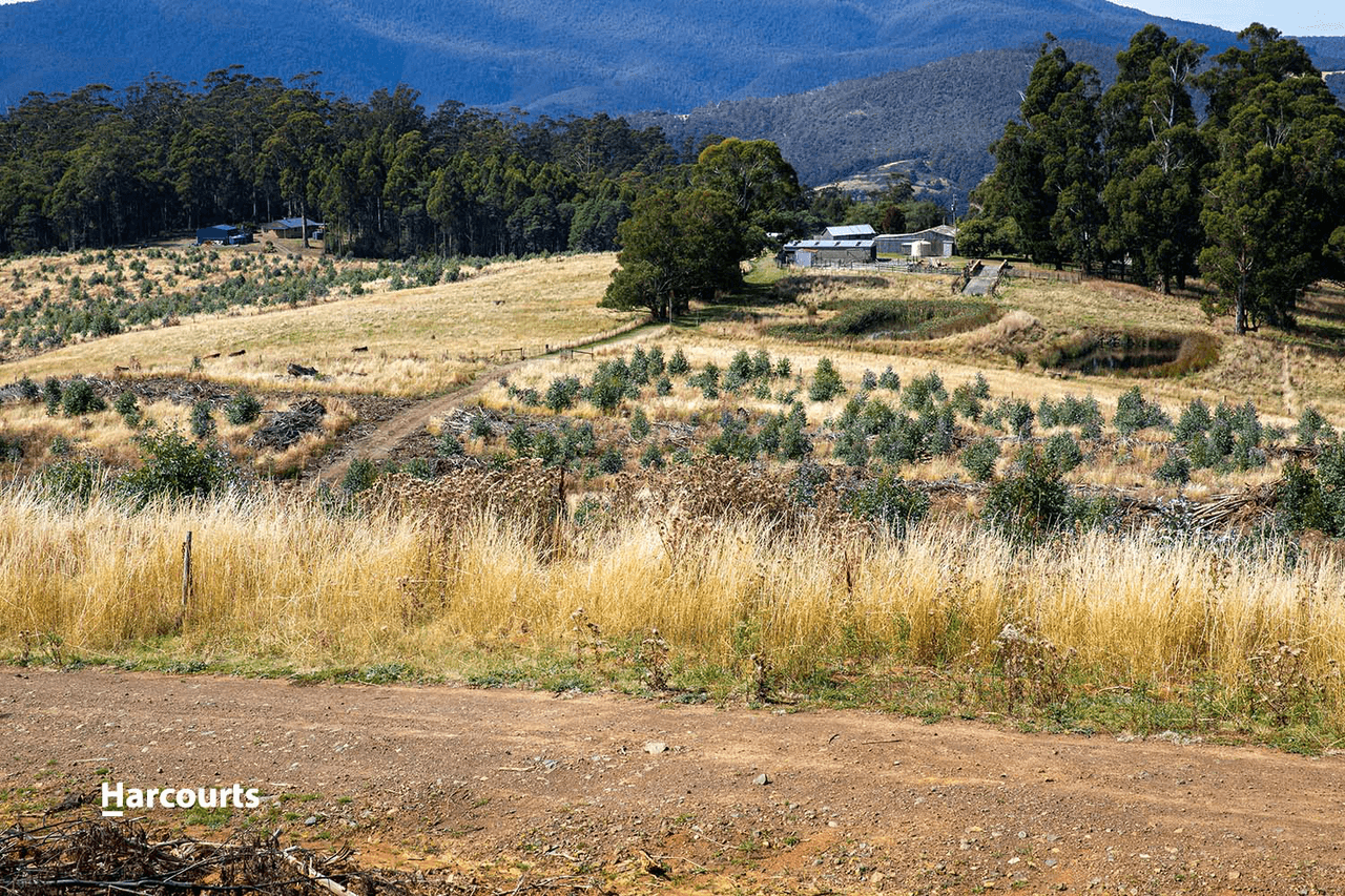 Lot 7 Paddys Lane, FRANKLIN, TAS 7113