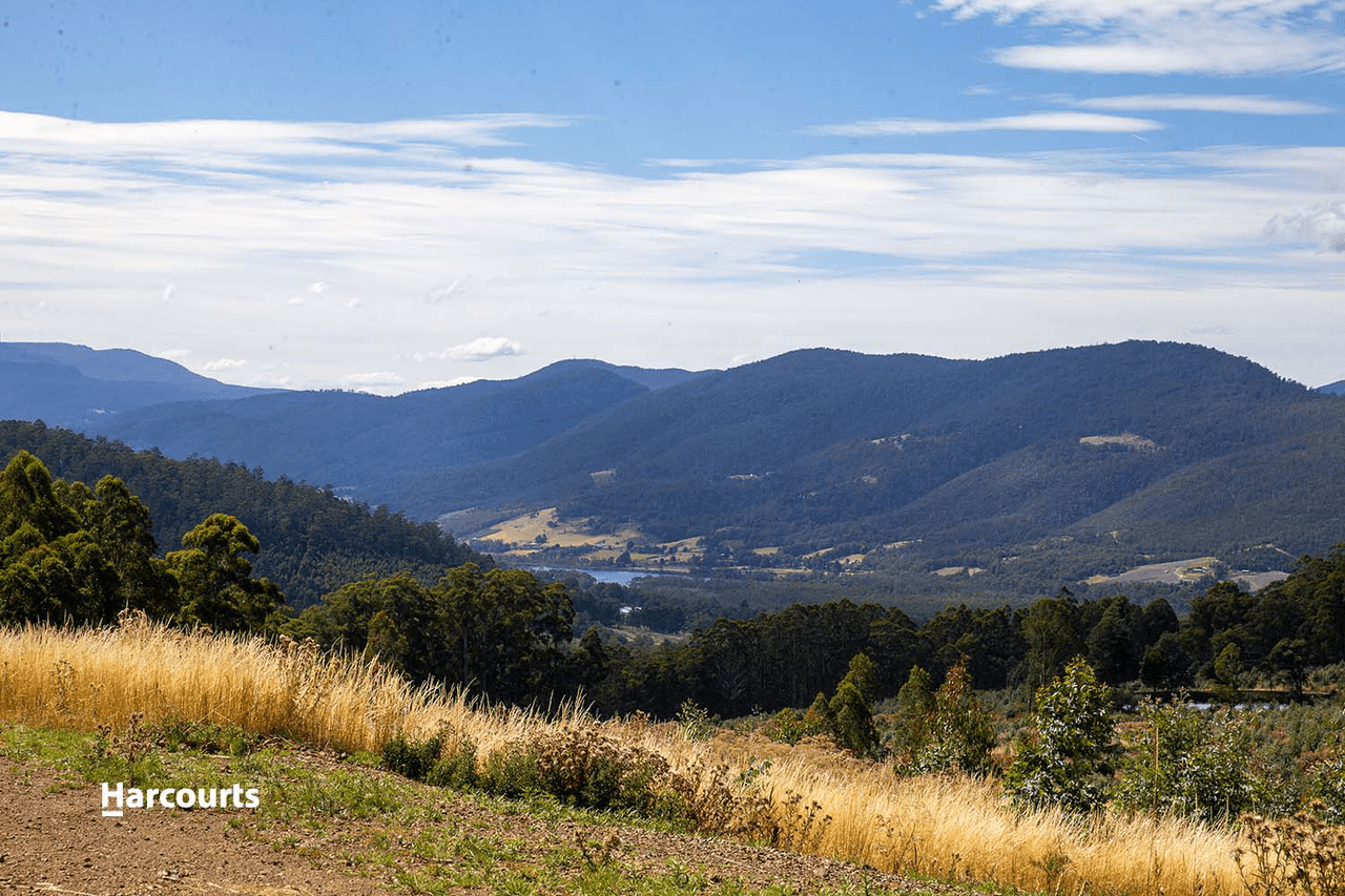 Lot 7 Paddys Lane, FRANKLIN, TAS 7113