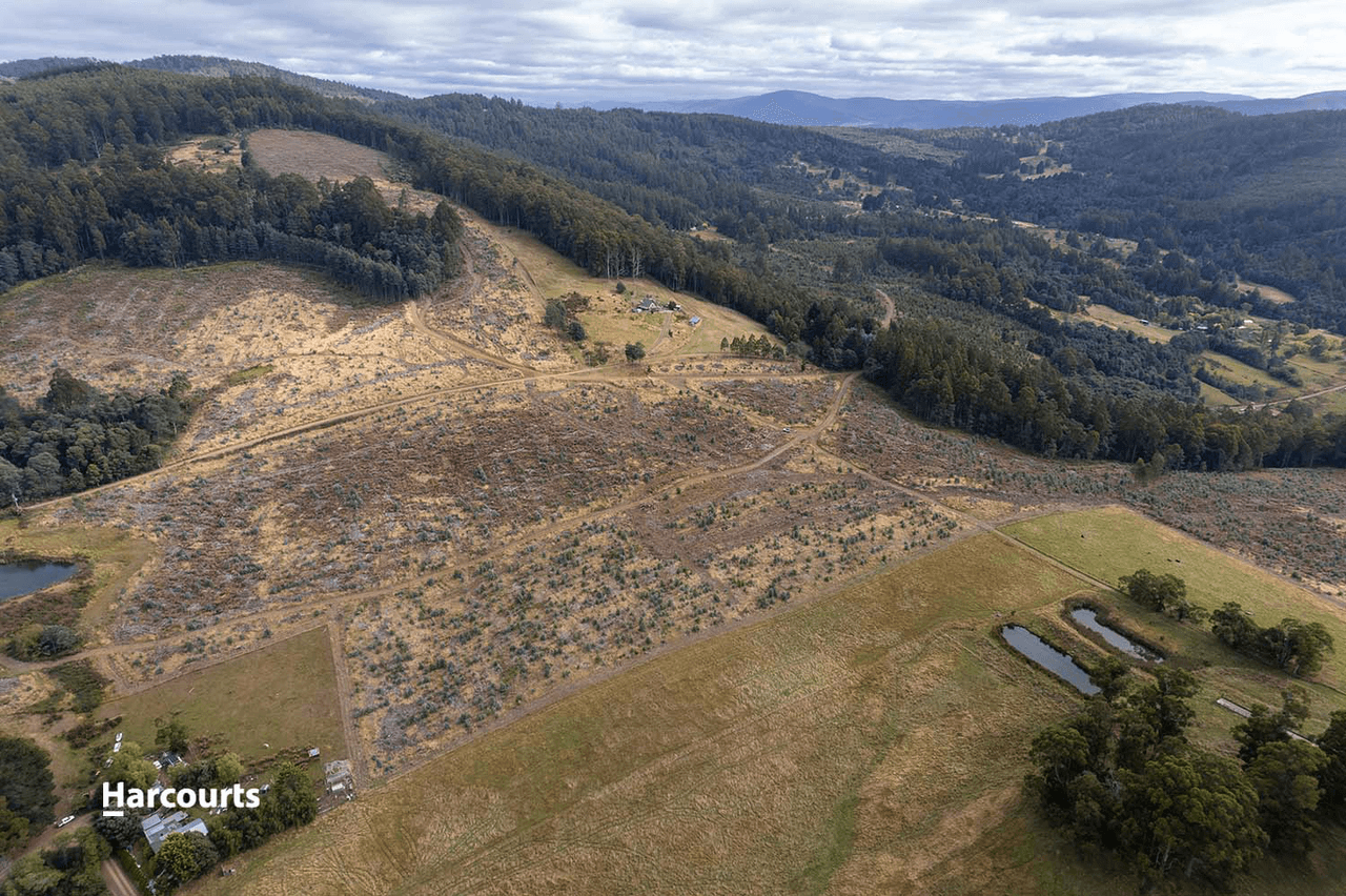 Lot 7 Paddys Lane, FRANKLIN, TAS 7113