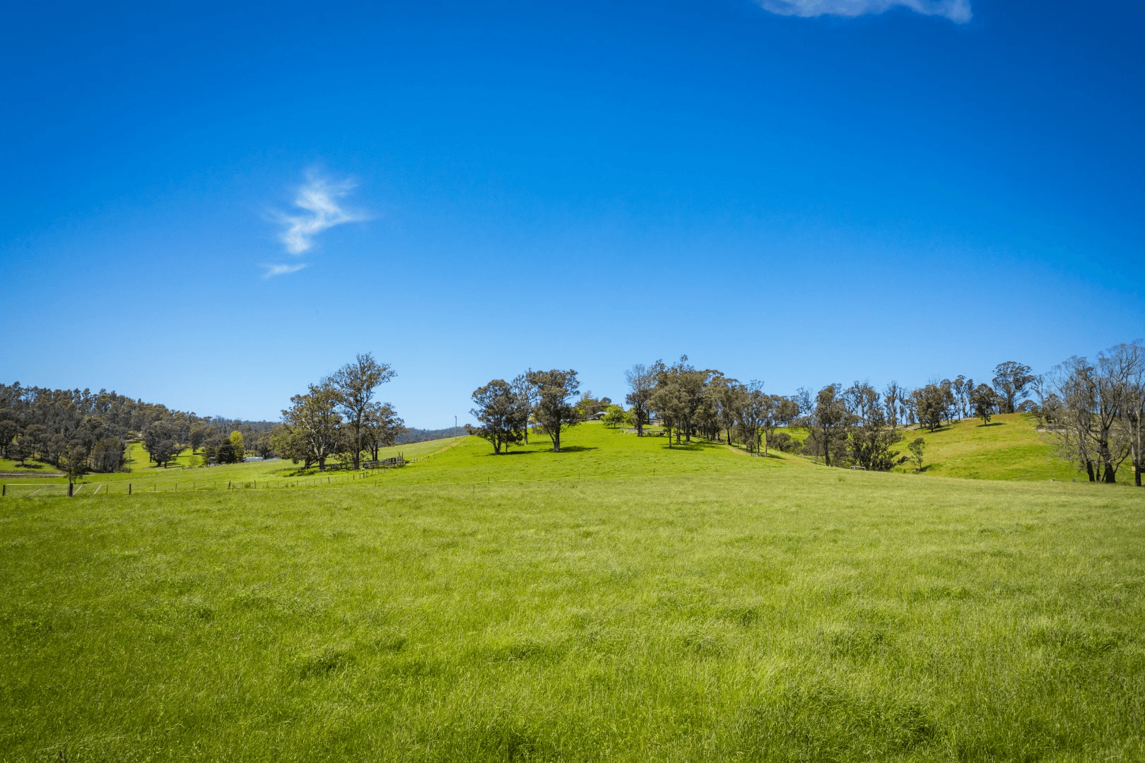 1043 Eurobodalla Road, EUROBODALLA, NSW 2545