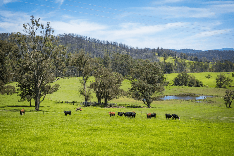 1043 Eurobodalla Road, EUROBODALLA, NSW 2545