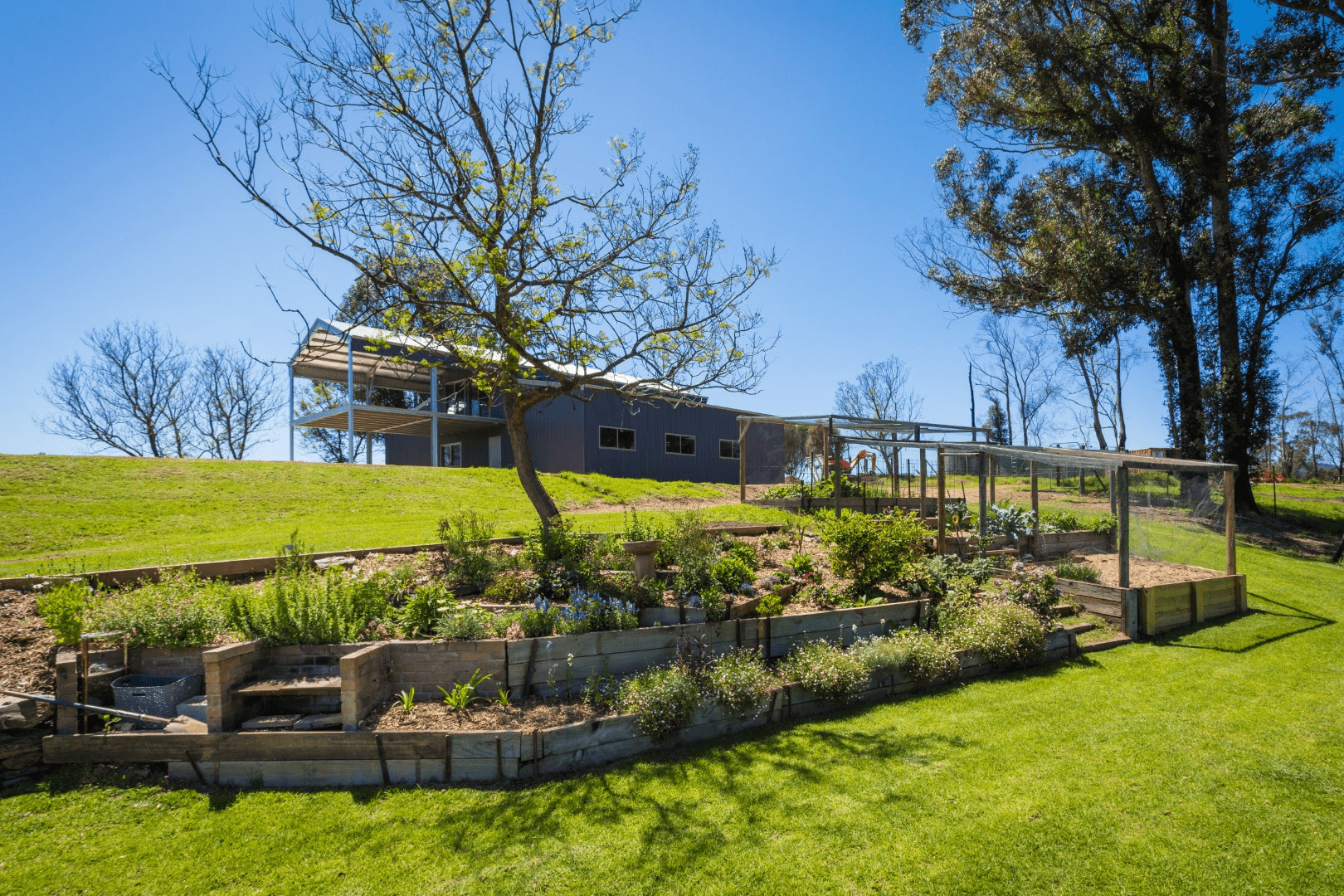 1043 Eurobodalla Road, EUROBODALLA, NSW 2545