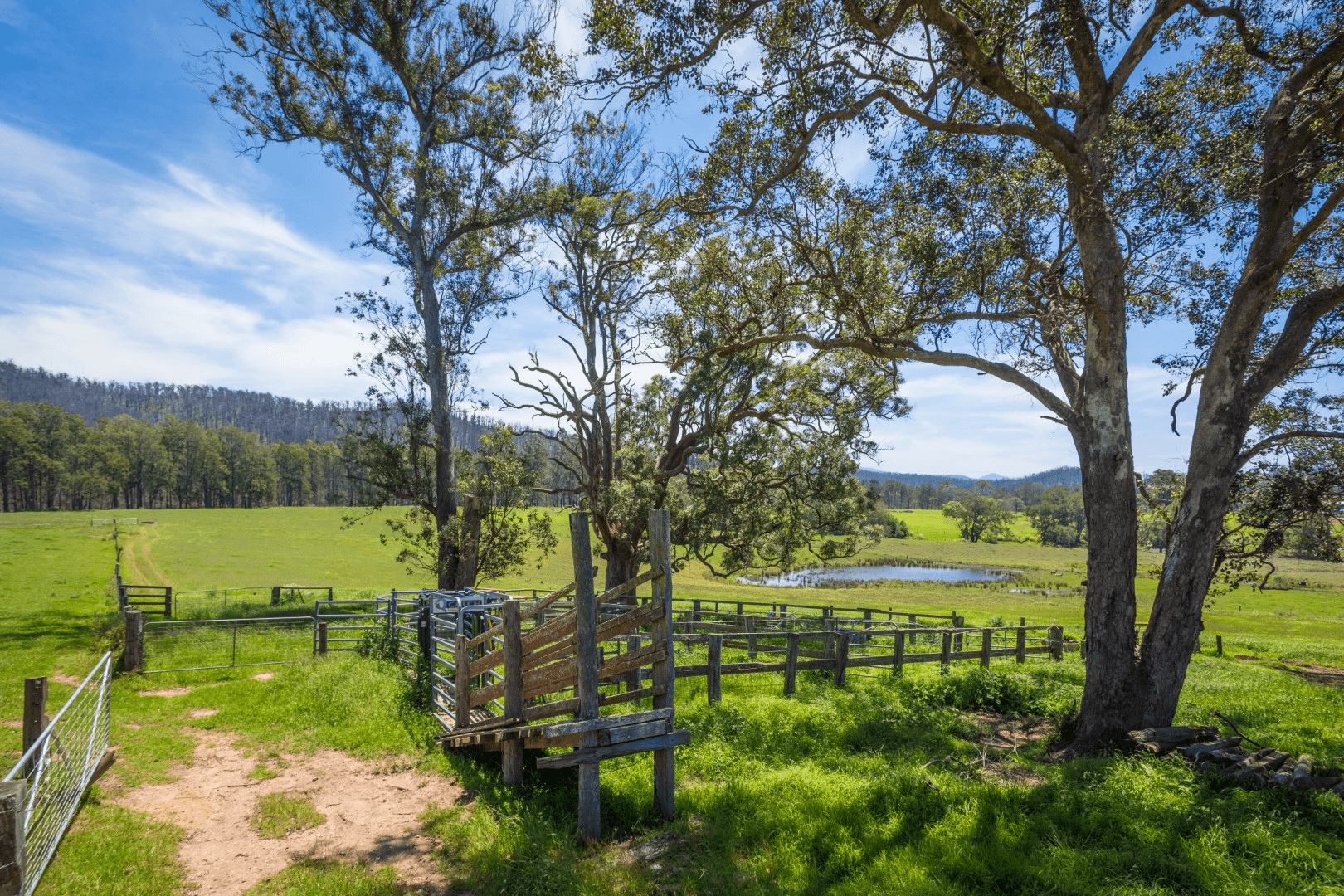 1043 Eurobodalla Road, EUROBODALLA, NSW 2545