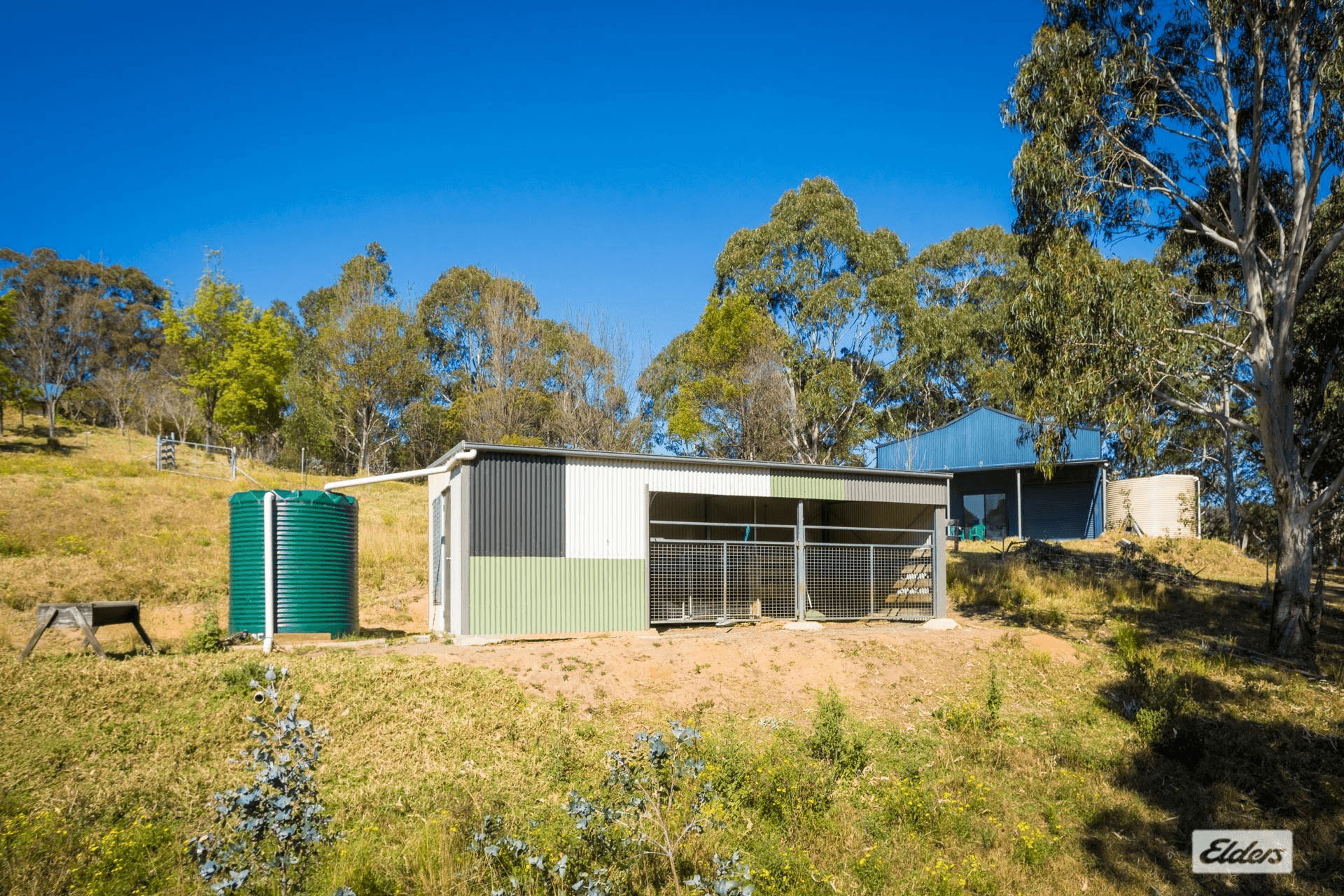 147 Radium Ridge Road, Candelo, NSW 2550