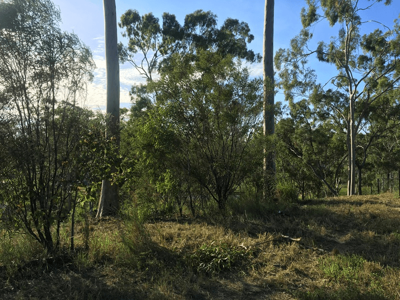 46  Baruby Boulevard, BENARABY, QLD 4680