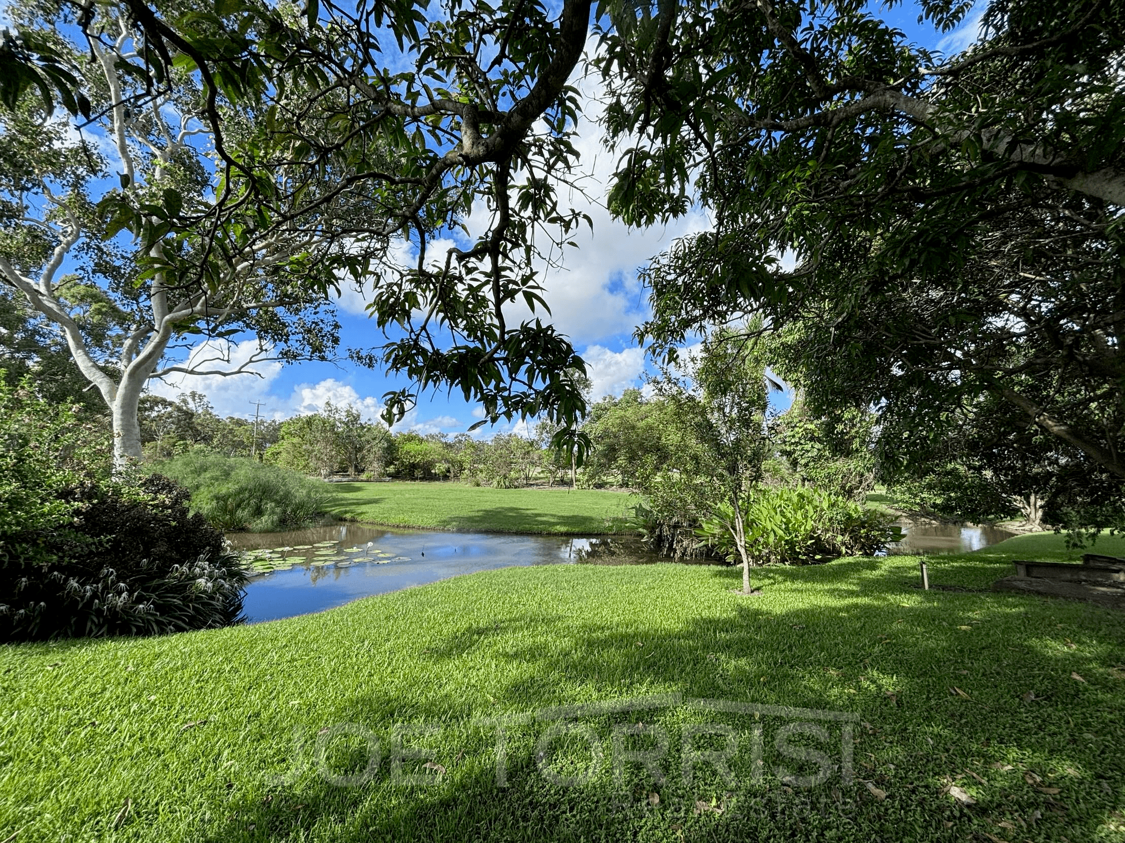 54 Lemonside Road, Mutchilba, QLD 4872