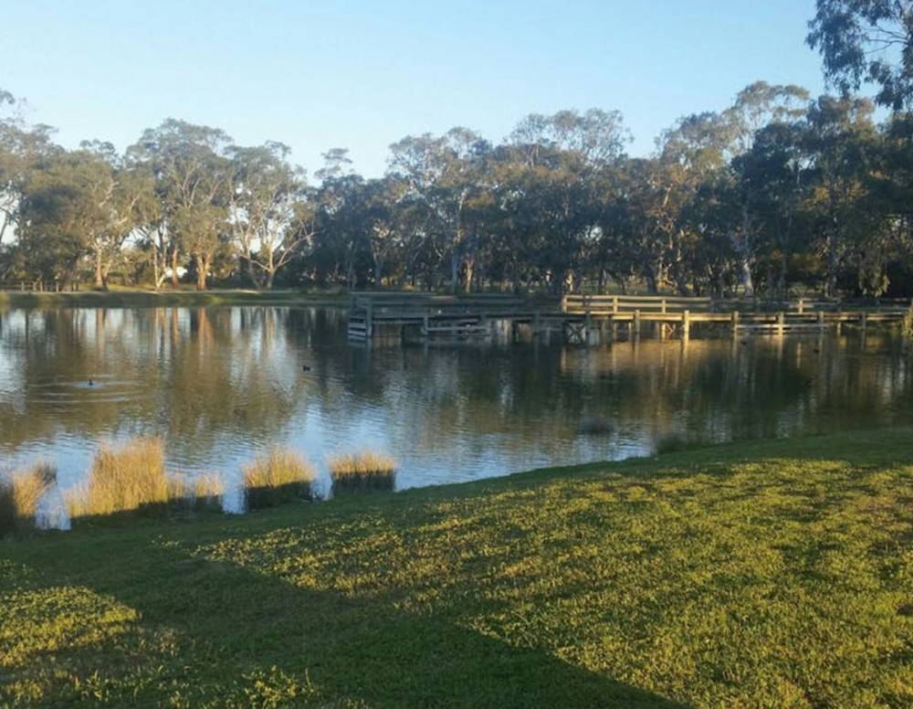 46 Ramsay Terrace, Bordertown, SA 5268