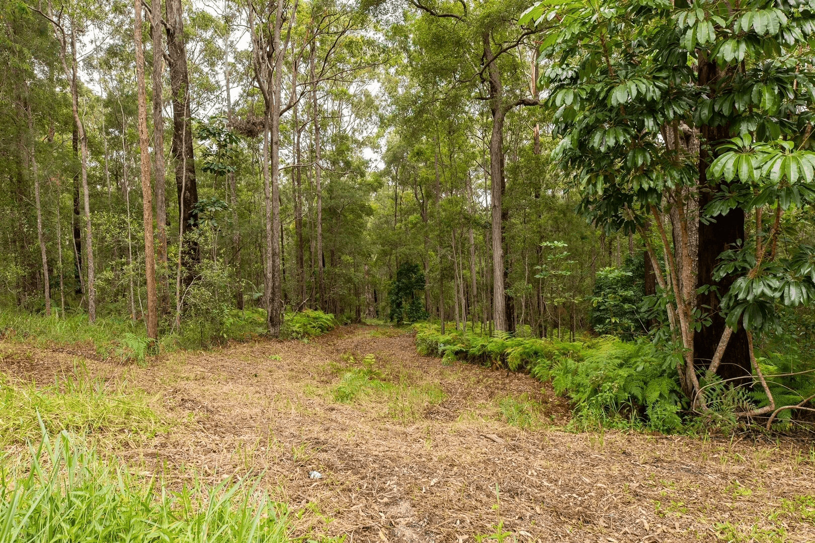 475 Verrierdale Rd, VERRIERDALE, QLD 4562