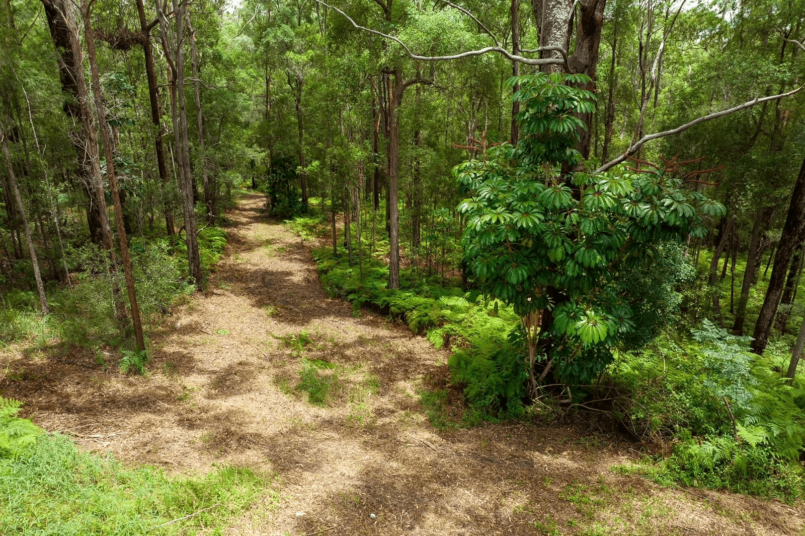 475 Verrierdale Rd, VERRIERDALE, QLD 4562